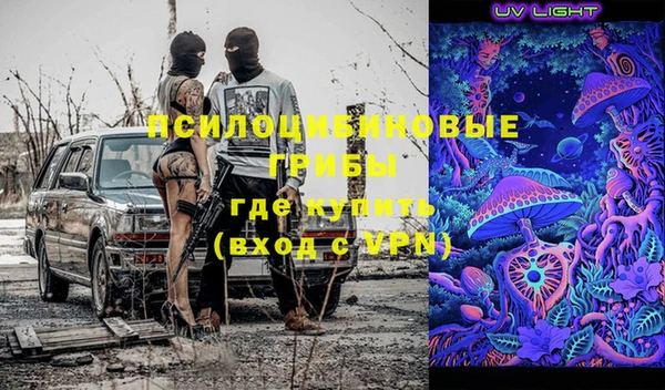 прущий лед Богданович
