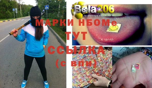 прущий лед Богданович