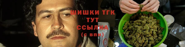 PSILOCYBIN Бугульма