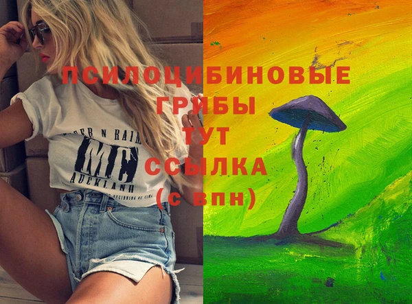 прущий лед Богданович
