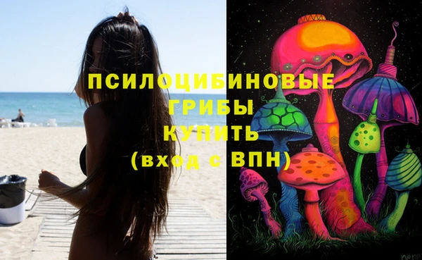 экстази Богородицк