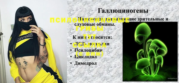 прущий лед Богданович