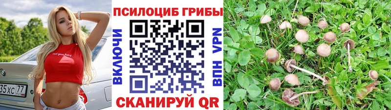 цены   Ковылкино  Галлюциногенные грибы ЛСД 